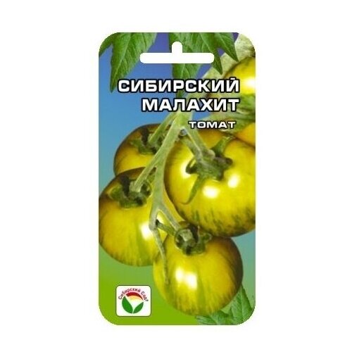 ������ ������ ������� ����� 