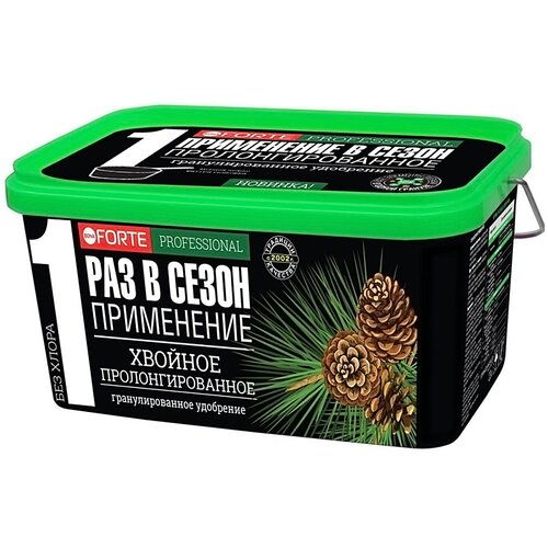 ������ ������ ��������� BONA FORTE ������� � ������������ ��������, 3 �, 2475 �, 1 ��. ����