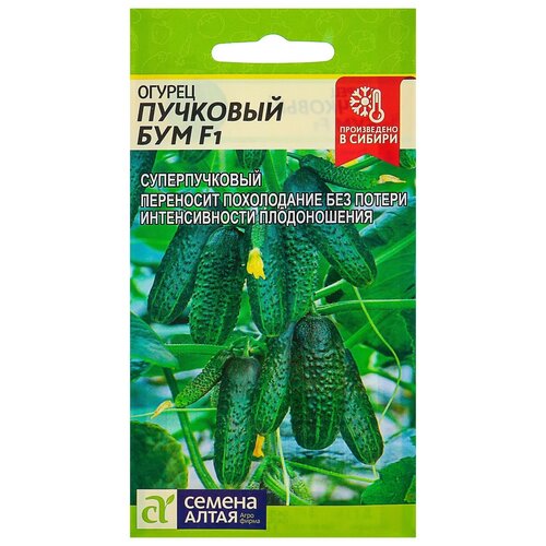 ������ ������ ������ ������ 