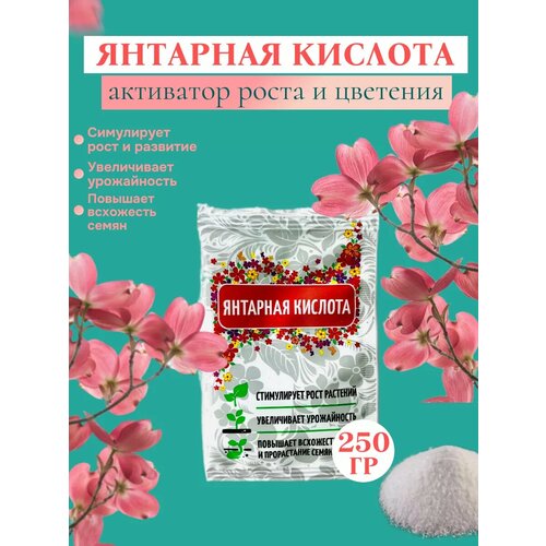 ������ ������ �������� ������� ��� �������� 250 �� ����