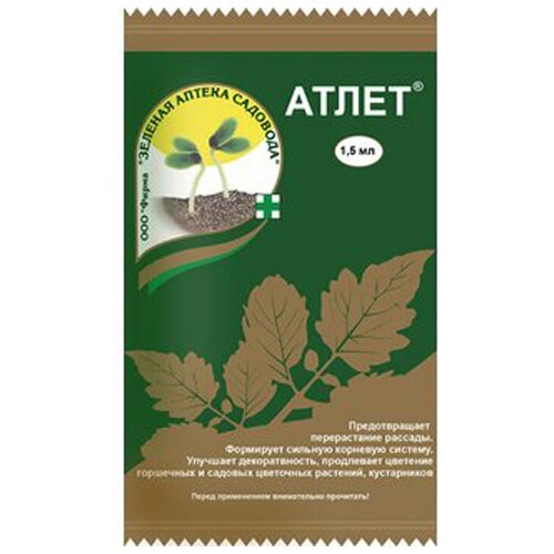 ������ ������ ��������� ����� �������� 