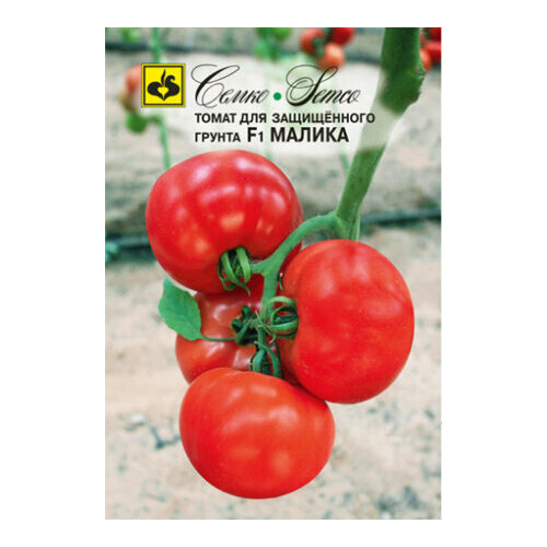 ������ ������ ������ ����� ������ F1 5�� ����� (�����) ����