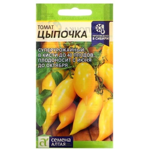 ������ ������ ������ ����� 