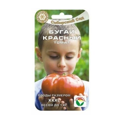 ������ ������ ����� ������� 20�� ����� (��� ���) ����