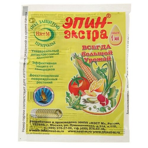 ������ ������ ���� � ��������� �����, ��������� ����-������ 1�� ����