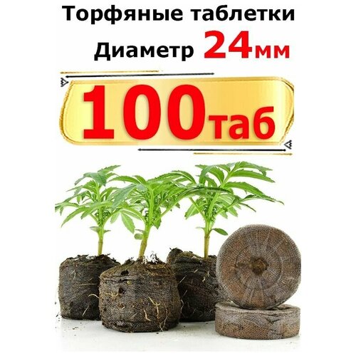 ������ ������ �������� �������� JIFFY d=24 �� (����� 100 ��) ����