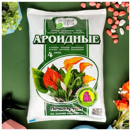 ������ ������ ���������� ������� ����� �� ������ ��������� ��������, 4 �, 2 �� ����