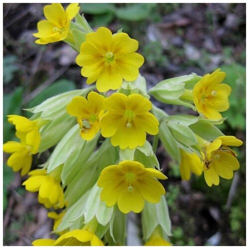 ������ ������ ������ ������ ��������� �������� ������� 20 ��. ����