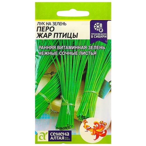 ������ ������ ������ ��� �� ������ 