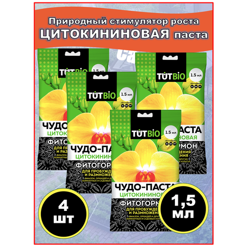 ������ ������ ������������� ����� ����