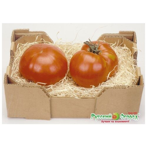 ������ ������ ������. ����� 