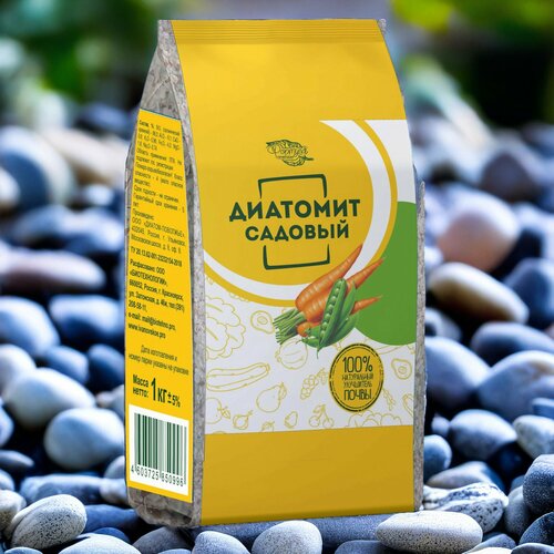 ������ ������ �������� 1��. 2� / 1��. ������� �������. ����