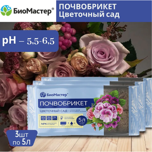 ������ ������ �������� ����������� ��������� ��� ���������, 5� 3 ����� ����