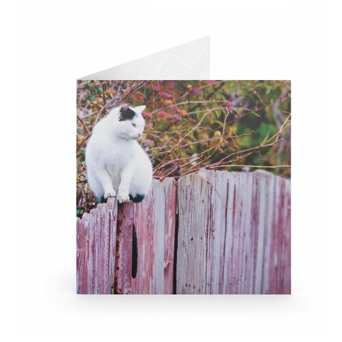 ������ ������ �������� Scrincard ��� �� ������ ����