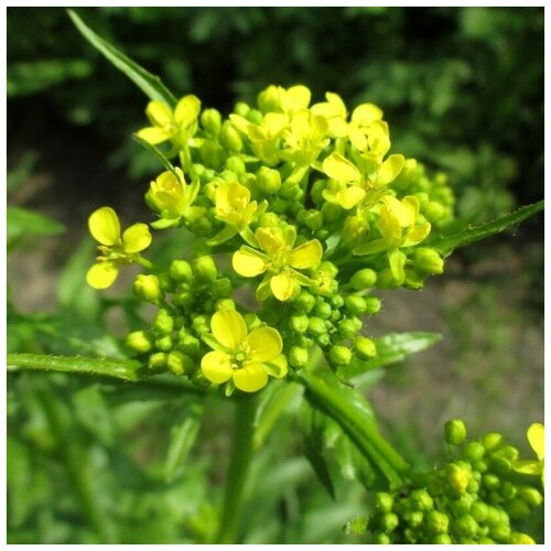 ������ ������ ������ ������ �������� ��������� 15 ��. ����