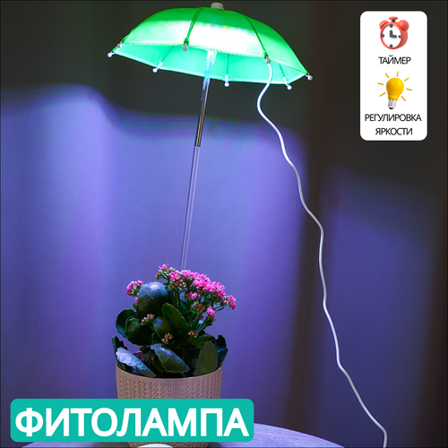 ������ ������ ��������� ��� ��������, ������ � ������� ����