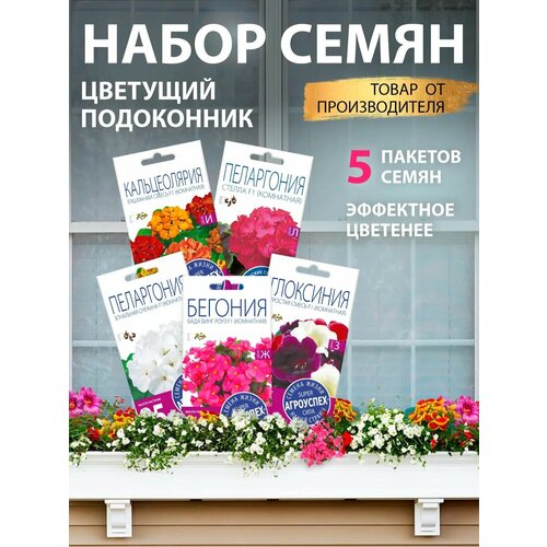 ������ ������ ������ ��������� ������ ����� 5 �� ����