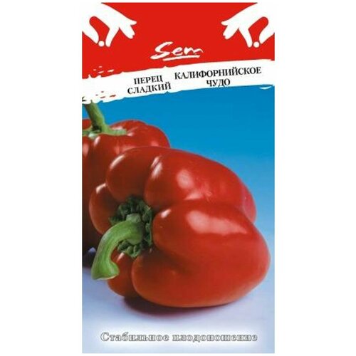 ������ ������ ������ ����� �������������� ���� 0,3� (5-6��) (������� ������) ����