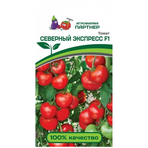 ������ ������ ������ ������ 