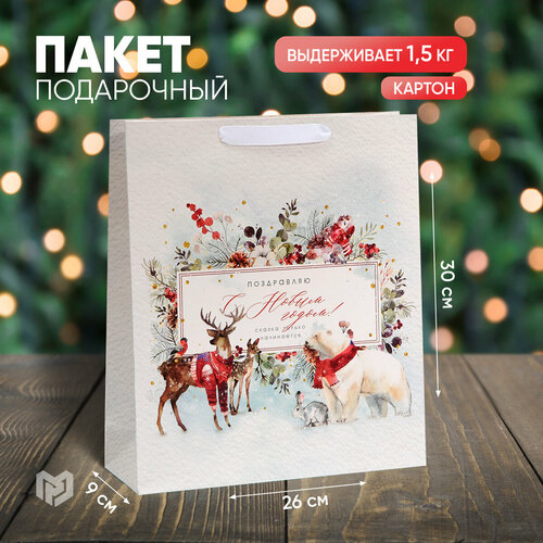 ������ ������ ����� ���������� ����������� �����, M 30 � 26 � 9 ��, ����� ��� ����