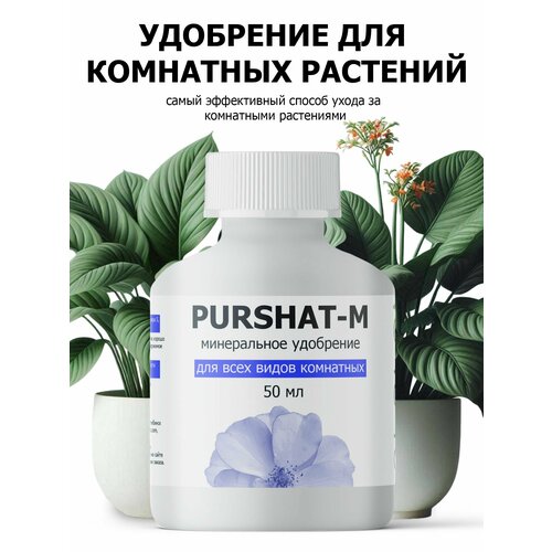 ������ ������ ��������� ��� ��������� �������� ������������� ������ (Purshat) 50 �� ����