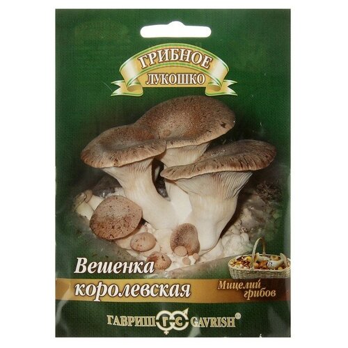 ������ ������ ������ ������� �� �������� 