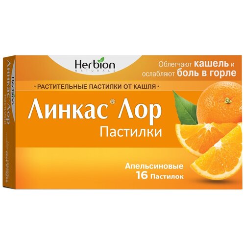 ������ ������ ������ ��� ��������, 16 ��., �������� ����