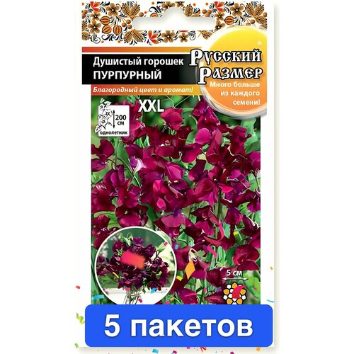 ������ ������ ����� �������� ������� ������� ������ 5 ������� ����