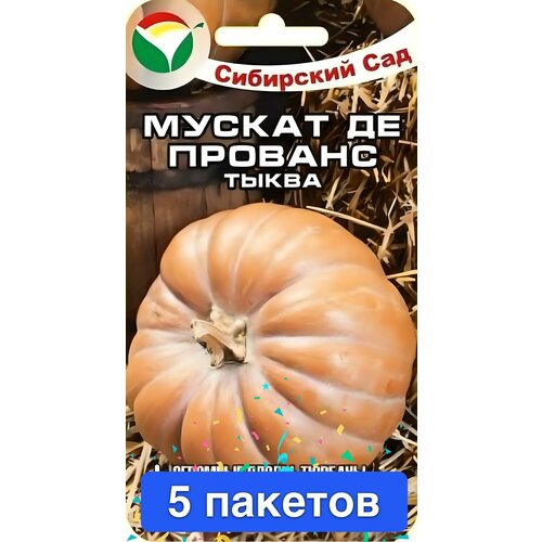 ������ ������ ������ ������ ��������� ��� 