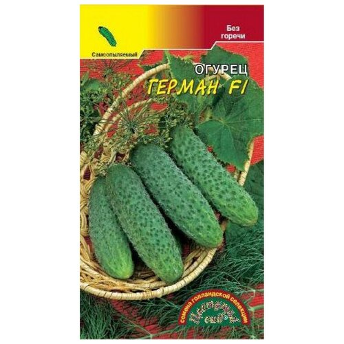 ������ ������ ������ �������� ��� 