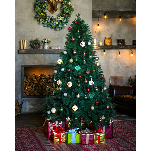 ������ ������ ���� ������������� ���������� Time to Party ����������, ����� 210 �� ����