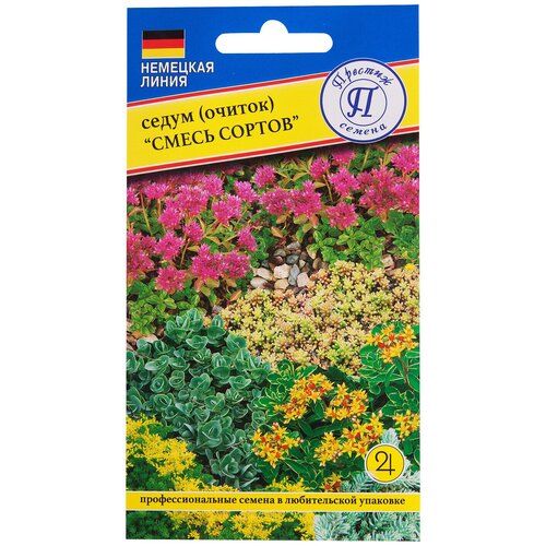 ������ ������ �����������: ����� ������ ����� ������ ����