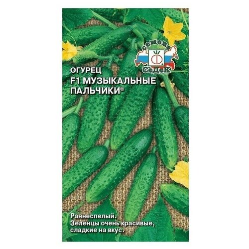 ������ ������ ������ ����� ������ ����������� �������� F1 ����