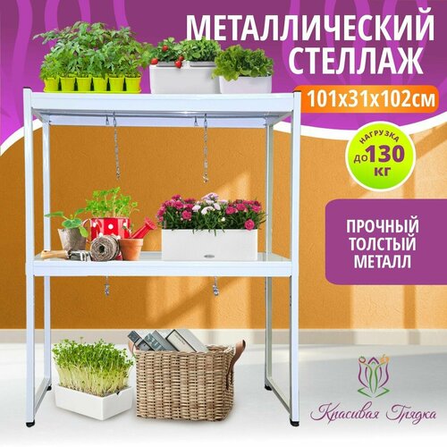 ������ ������ ������� ��� ������� �� ���������� ������������� 