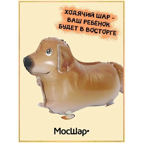 ������ ������ ��������� ��� ������� ������ ������ �������� ����