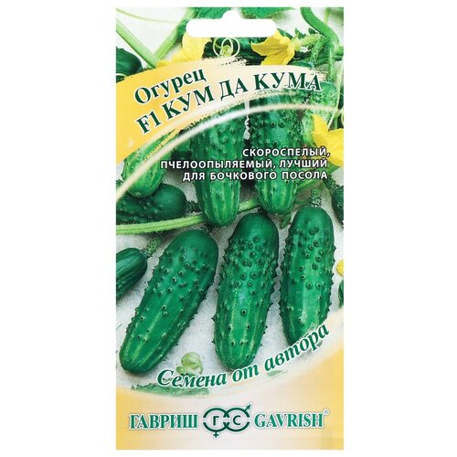 ������ ������ ������ ������ ��� �� ���� F1, 10��, ������, ������ �� ������ ����