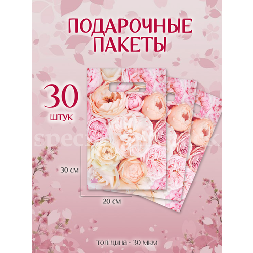 ������ ������ ����� ���������� ������� � ������� 