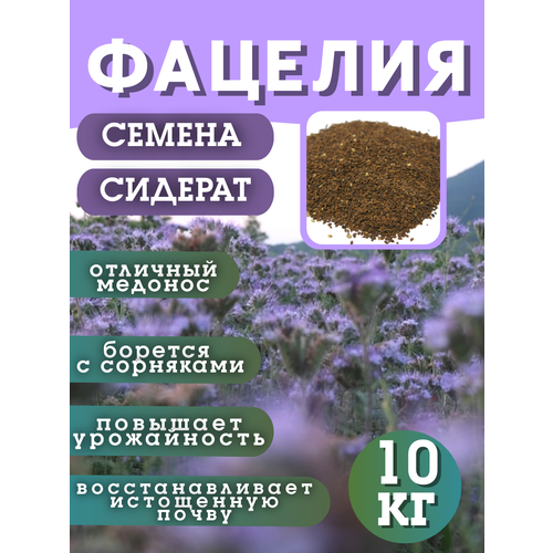 ������ ������ ������ �������, �������, 10 �� ����