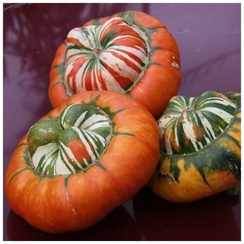 ������ ������ ������ ������ ����� ������������ �������� ������ 5 ��. ����