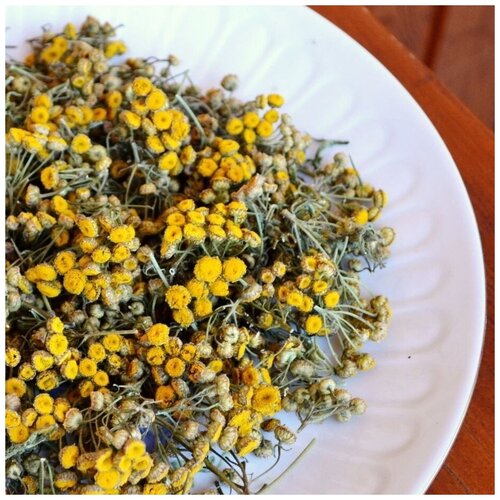 ������ ������ ������� ����� ����� 40 �� ����