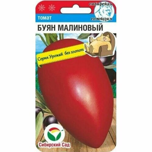 ������ ������ ������ ����� ���� ��������� (�����������) ��. (��������� ���) 20�� ����