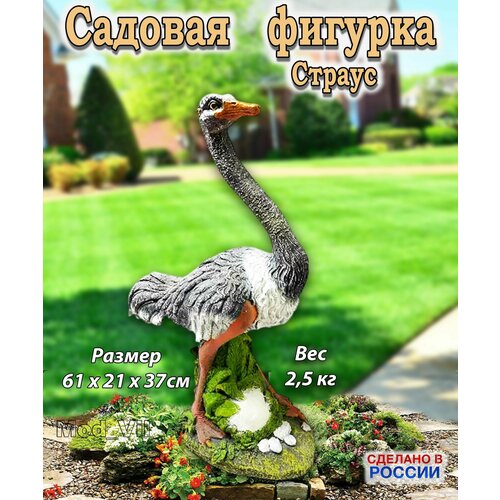 ������ ������ ������� ������� ������� ������, ����� ��� ����, ���� � ������� ����