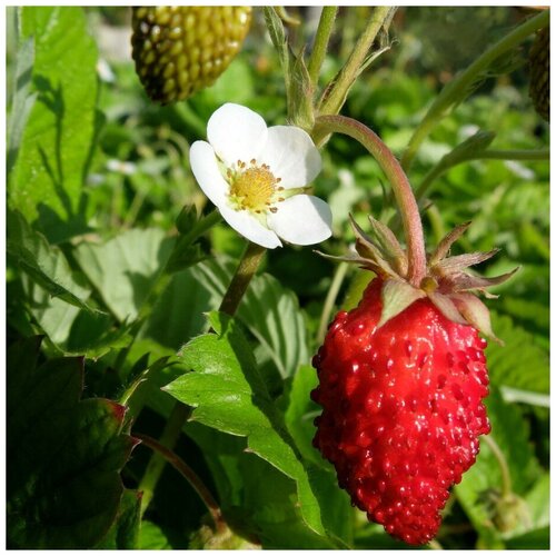 ������ ������ ������ ������ ��������� ������ 30 ��. ����