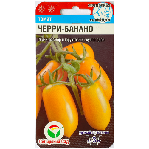 ������ ������ ������ ����� �����-������,20 ����� ����