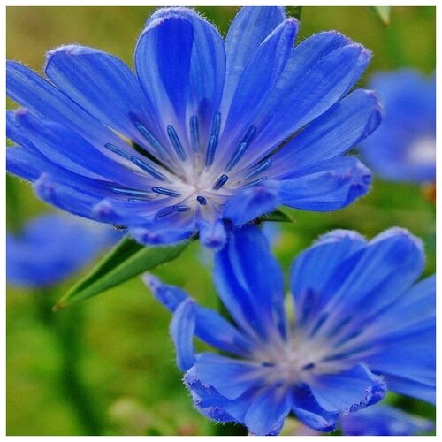 ������ ������ ������ ������ ������� ������������ 500 ��. ����