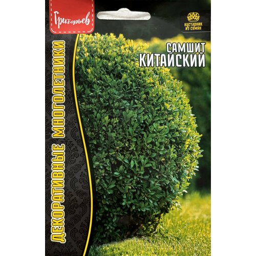 ������ ������ ������ ������� ���������� (10 �����) ����