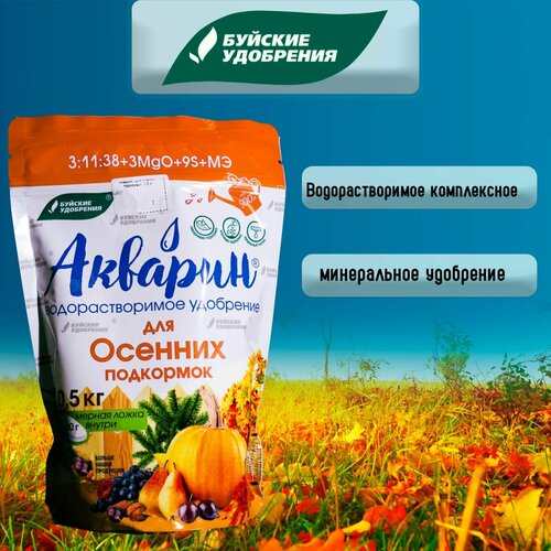 ������ ������ ������� ��� ������� ��������� 0,5 �� ������� ��������� ����