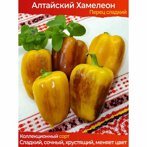 ������ ������ ������ �������� ����� ��������� �������� - ������������� ���� ����