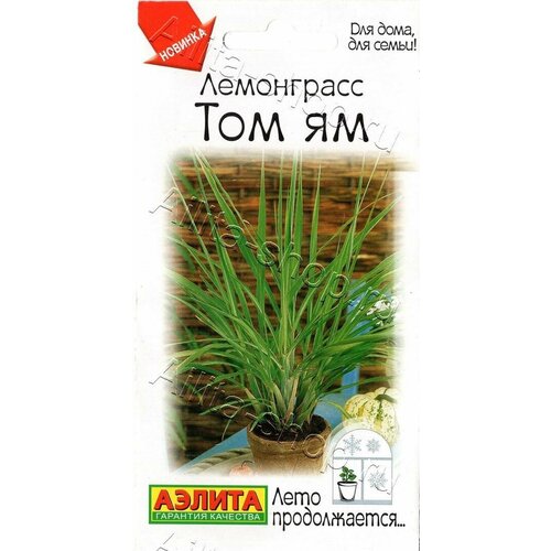 ������ ������ ���������� ��� �� (3 ��������), ������ ����