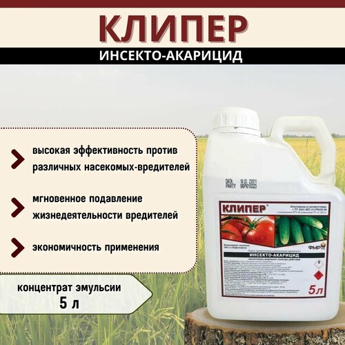 ������ ������ ������, �� �������-�������� ��� ������ �� ���������� ( �� �������) ����